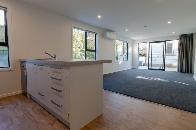 Photo of property in 16 Peter Street, Caversham, Dunedin, 9012