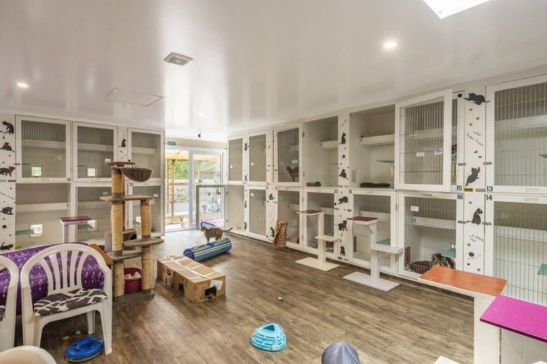 Photo of property in 222 Main Road South, Raumati South, Paraparaumu, 5032