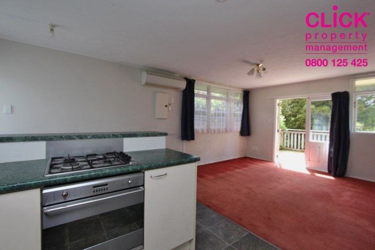 Photo of property in 284a Taieri Road, Wakari, Dunedin, 9010