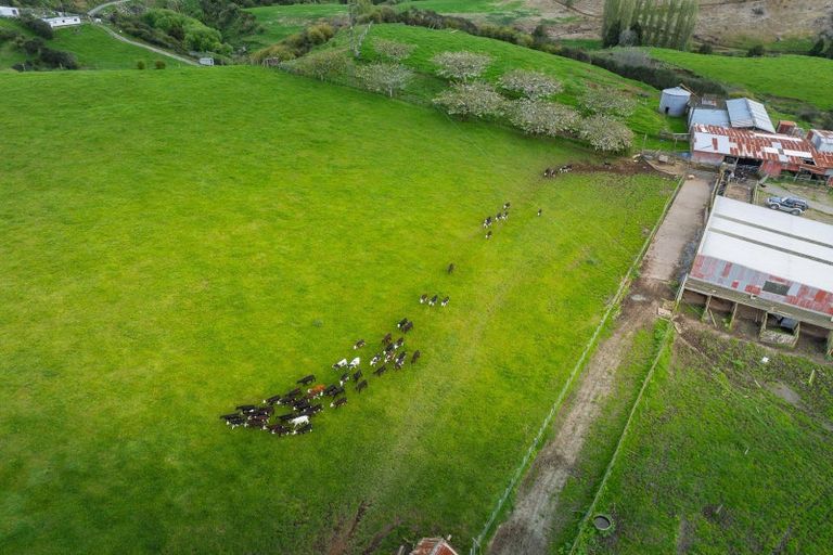 Photo of property in 987 Mangaehu Road, Puniwhakau, Stratford, 4392