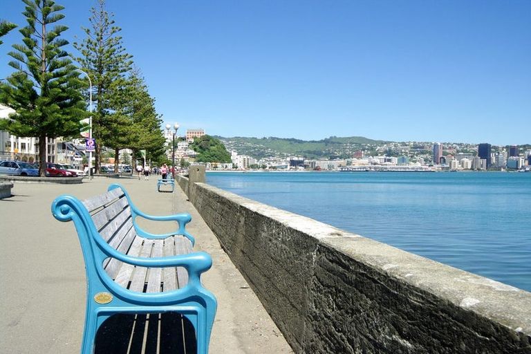 Photo of property in The Capital, 370 Oriental Parade, Oriental Bay, Wellington, 6011