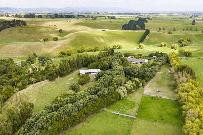Photo of property in 846 Colyton Road, Bunnythorpe, Feilding, 4775