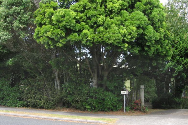 Photo of property in 159 Weatherly Road, Torbay, Auckland, 0630