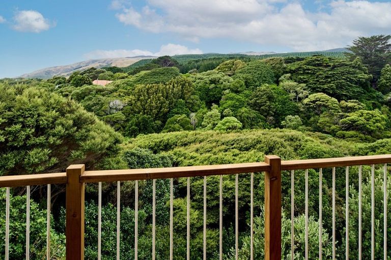 Photo of property in 19 Gray Street, Pukerua Bay, 5026