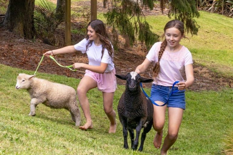 Photo of property in 277 Cames Road, Kaiwaka, Wellsford, 0975