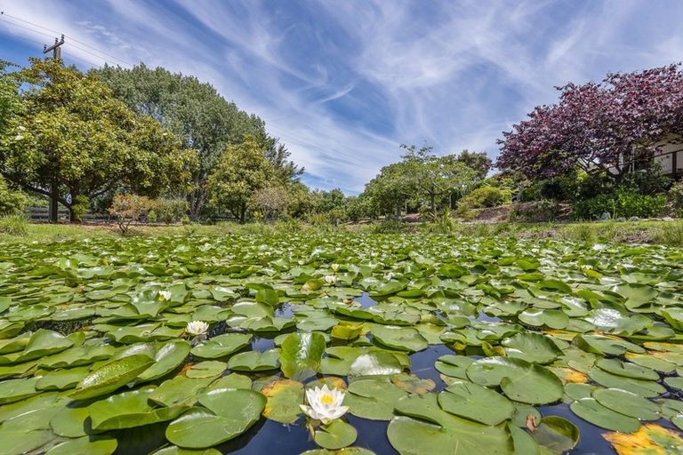 Photo of property in 75 Makora Road, Otaihanga, Paraparaumu, 5036