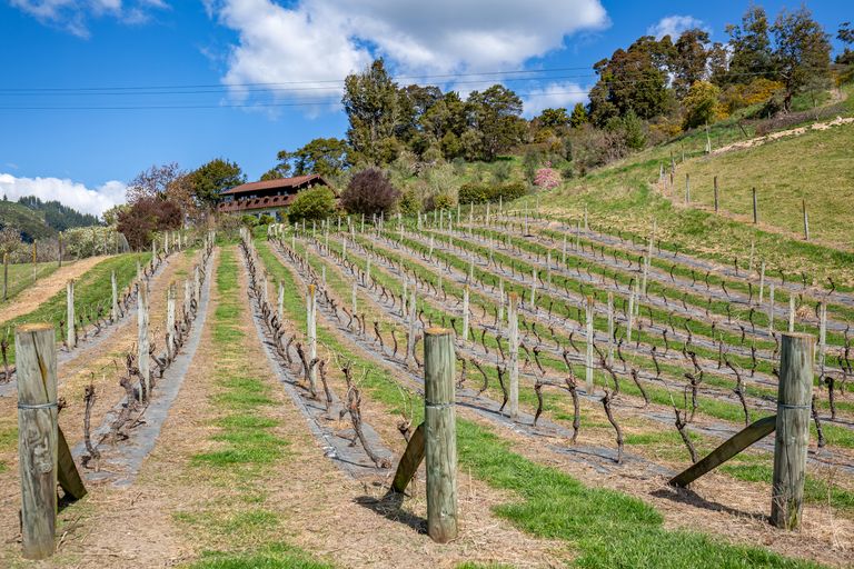 Photo of property in 1469 Motueka Valley Highway, Ngatimoti, Motueka, 7196