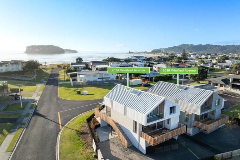Photo of property in 203 Winifred Avenue, Whangamata, 3620
