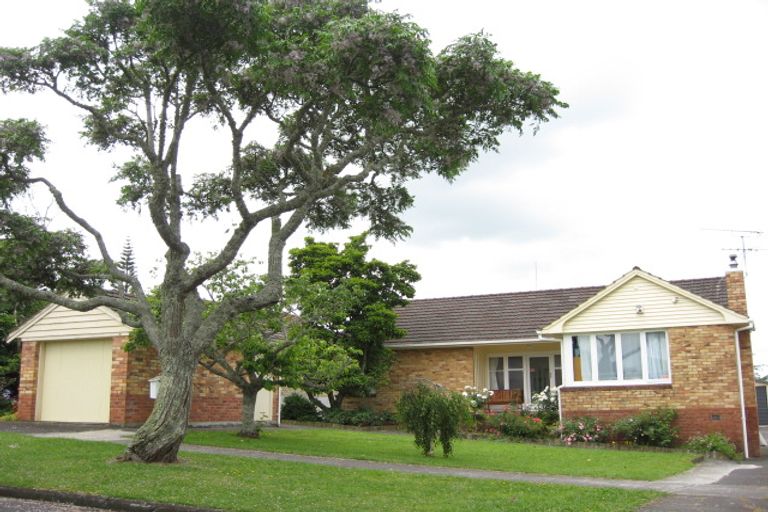 Photo of property in 8 Girdhar Place, Pukekohe, 2120