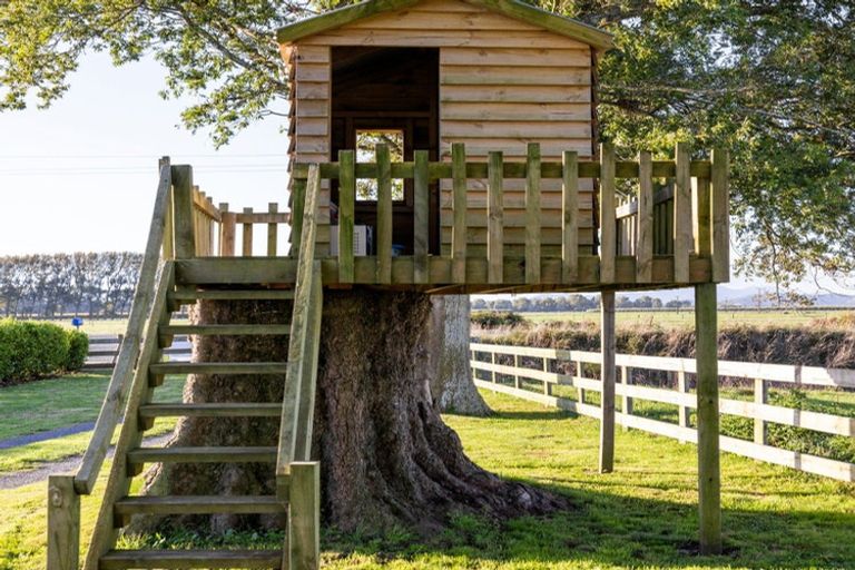 Photo of property in 296 Piako Road, Gordonton, Hamilton, 3281