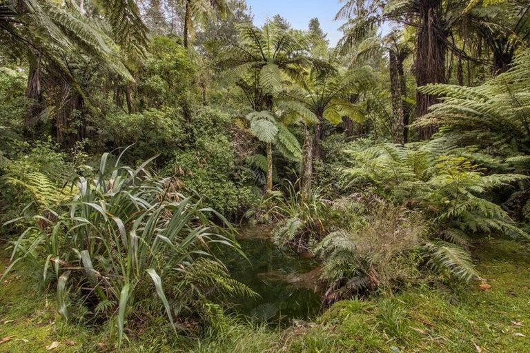 Photo of property in 175 Bulltown Road, Waihi, 3610