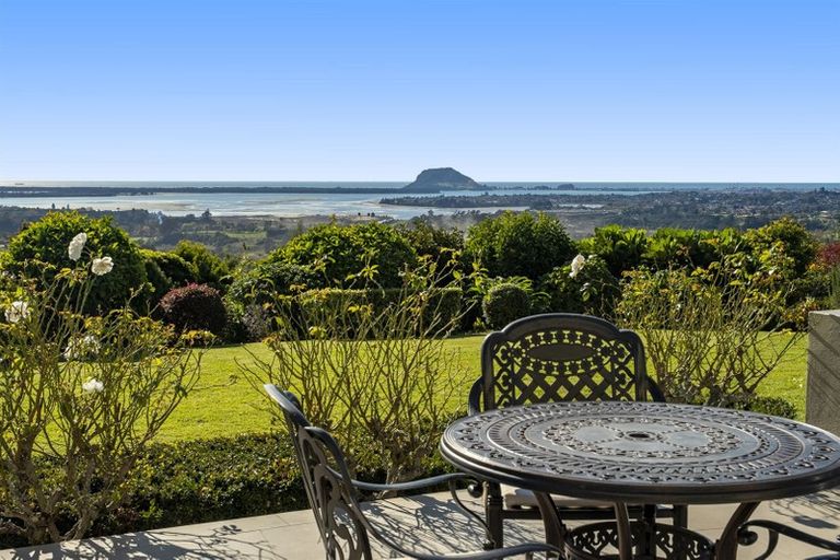 Photo of property in 16 Dawn View Place, Minden, Tauranga, 3176