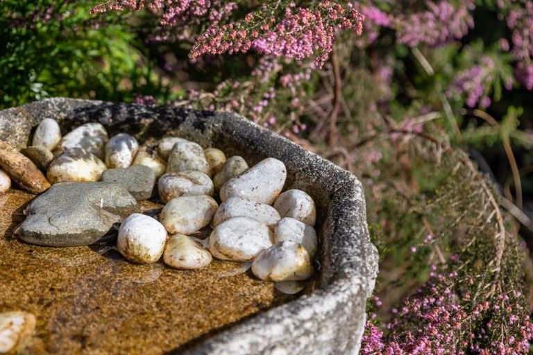 Photo of property in 7 Tapuhikura Street, Waikanae, 5036