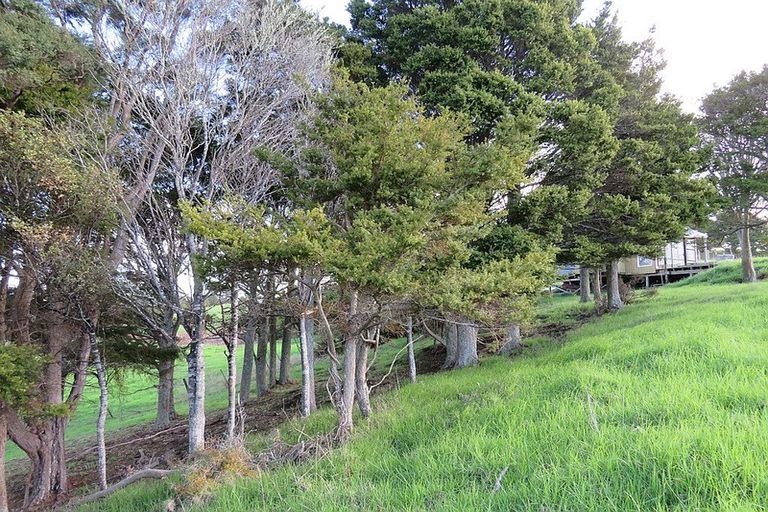 Photo of property in 300 Arapaoa Road, Tinopai, 0593