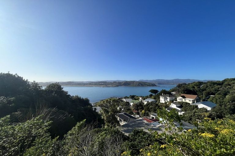 Photo of property in 24 Hungerford Road, Lyall Bay, Wellington, 6022