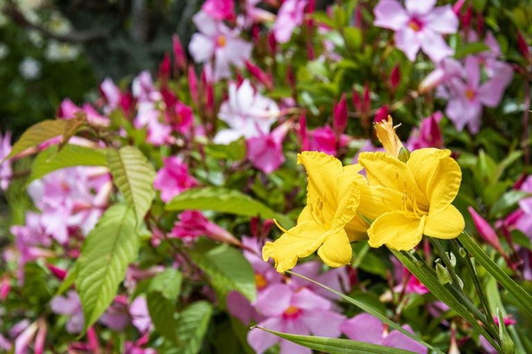 Photo of property in 52 Walker Crescent, Whau Valley, Whangarei, 0112