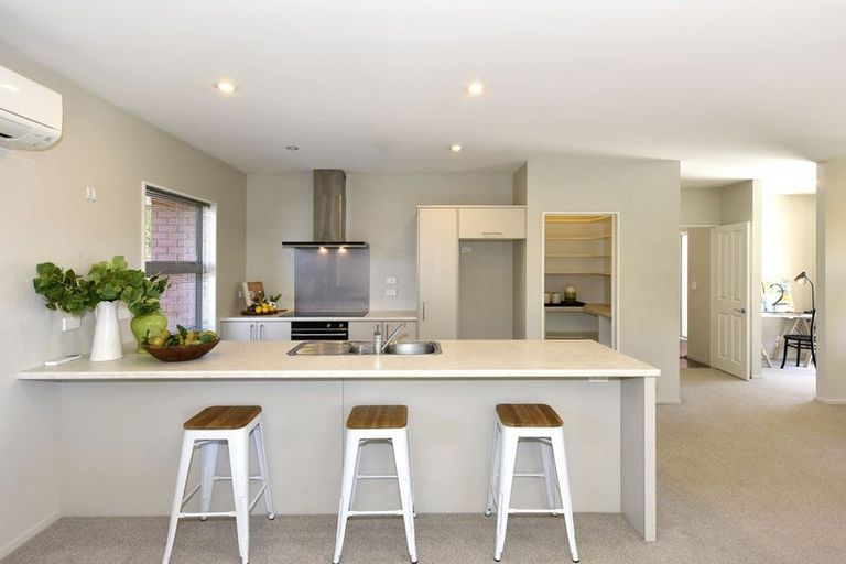 Photo of property in 1b Moule Street, Addington, Christchurch, 8024