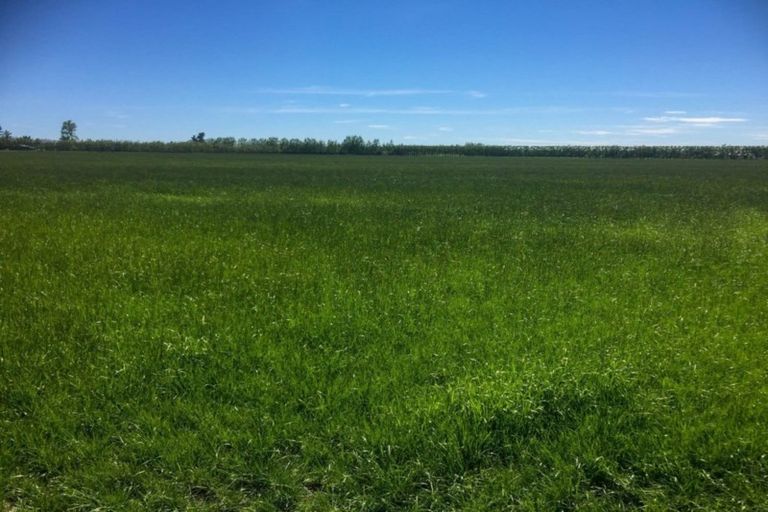 Photo of property in 80 Mount Hutt Station Road, Methven, Rakaia, 7782