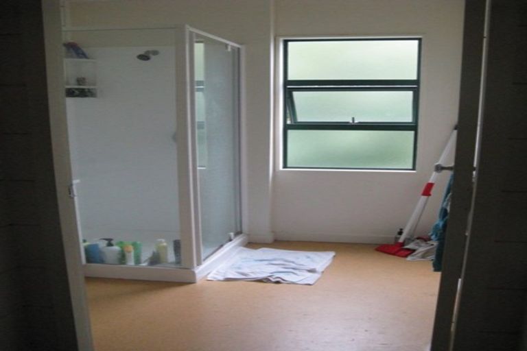 Photo of property in Te Awhina Apartments, 29/22 Sussex Street, Mount Cook, Wellington, 6021