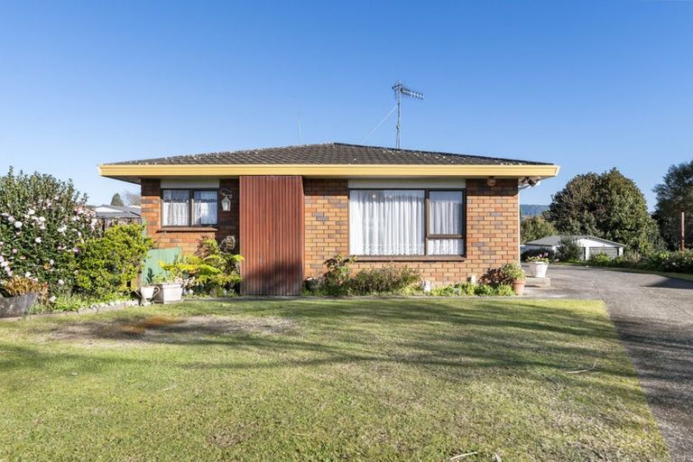 Photo of property in 161a Boucher Avenue, Te Puke, 3119