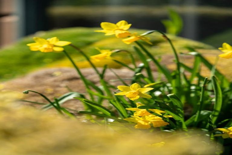 Photo of property in Leamington Mews, 37b Raleigh Street, Leamington, Cambridge, 3432