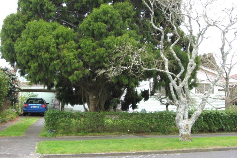 Photo of property in 31 Turakina Street, Merrilands, New Plymouth, 4312