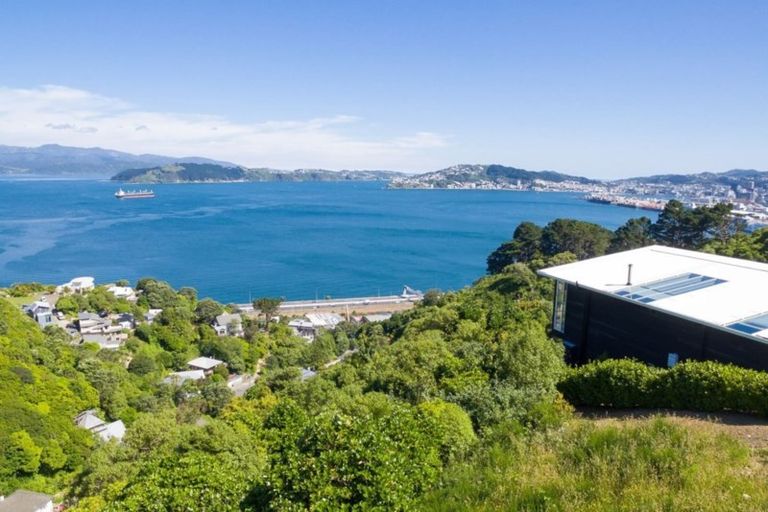 Photo of property in 125 Nicholson Road, Khandallah, Wellington, 6035