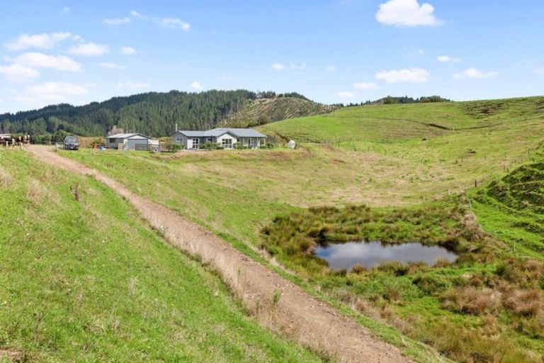 Photo of property in 1155 Stanley Road, Waimana, Opotiki, 3198