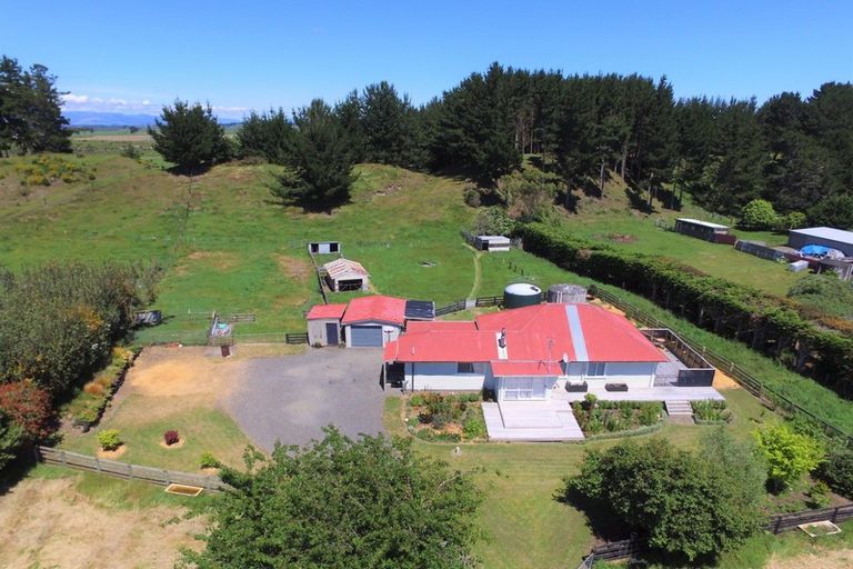 Photo of property in 170 Foxton Shannon Road, Foxton, 4893