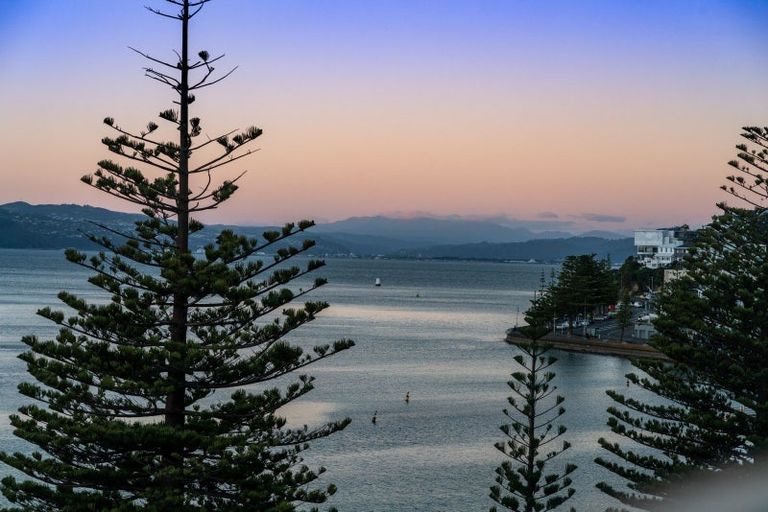 Photo of property in Broadwater Apartments, 214 Oriental Parade, Oriental Bay, Wellington, 6011