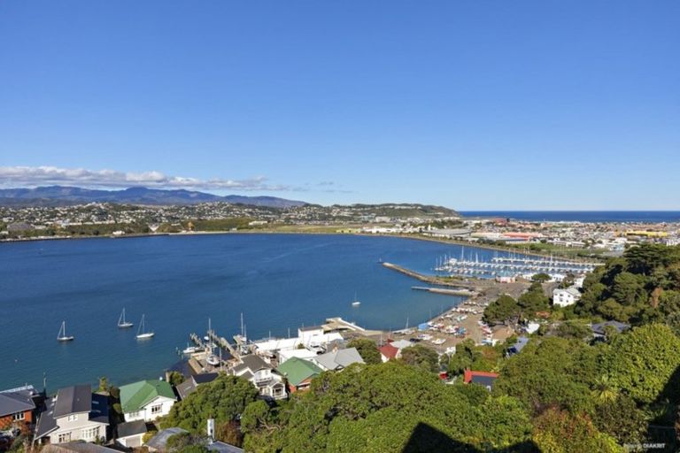 Photo of property in 17 Overtoun Terrace, Hataitai, Wellington, 6021