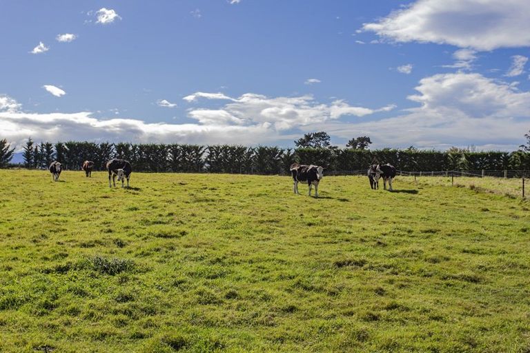 Photo of property in 54 Bayley Road, Fernside, Rangiora, 7471
