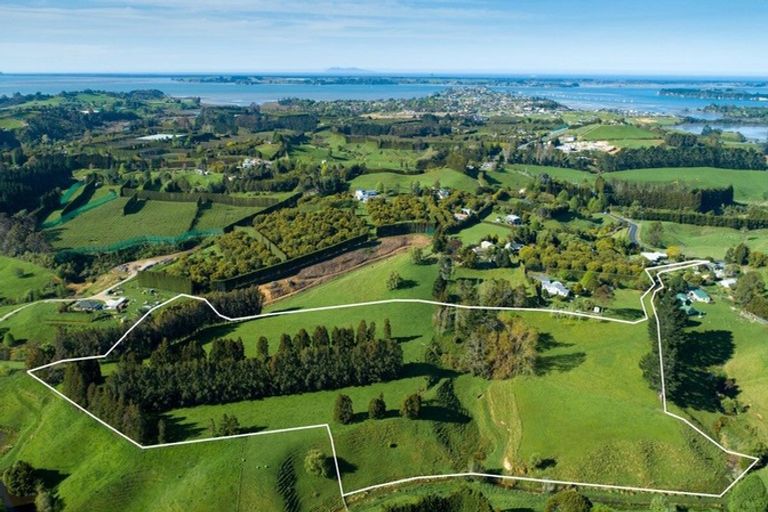 Photo of property in 48d Youngson Road, Whakamarama, 3180