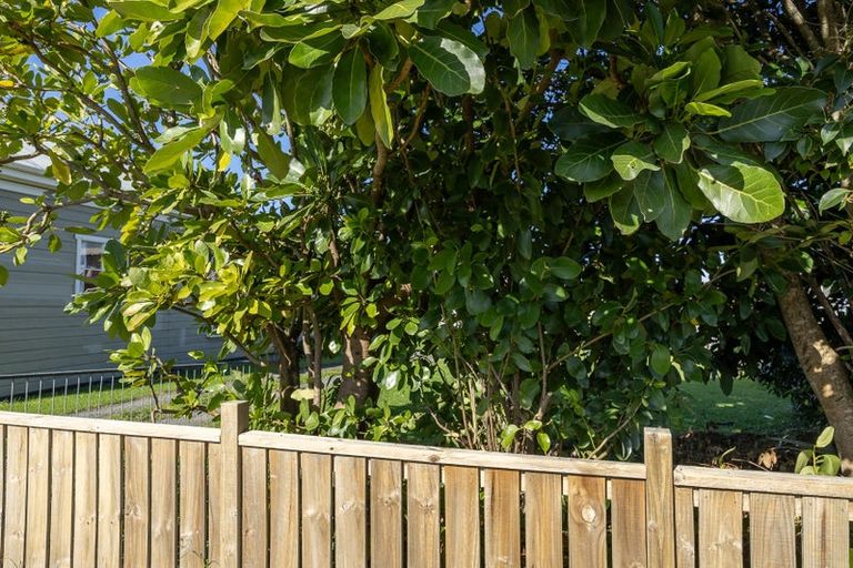 Photo of property in 67 Jervois Street, Dargaville, 0310