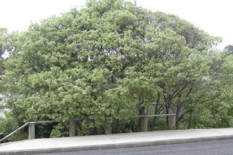 Photo of property in 1/16 Rossmore Terrace, Murrays Bay, Auckland, 0630