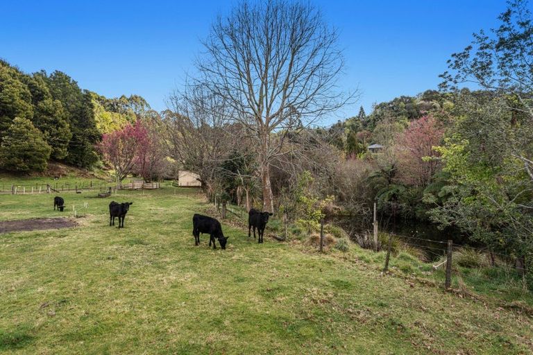 Photo of property in 330b Pikowai Road, Pikowai, Whakatane, 3194