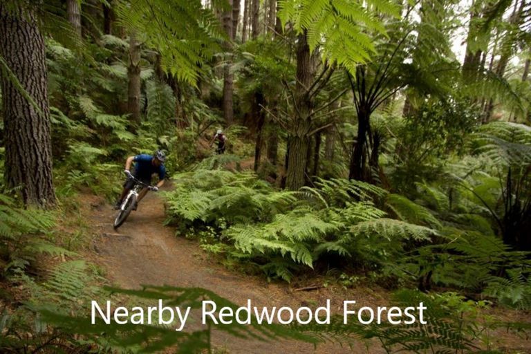 Photo of property in 58a Lynmore Avenue, Lynmore, Rotorua, 3010