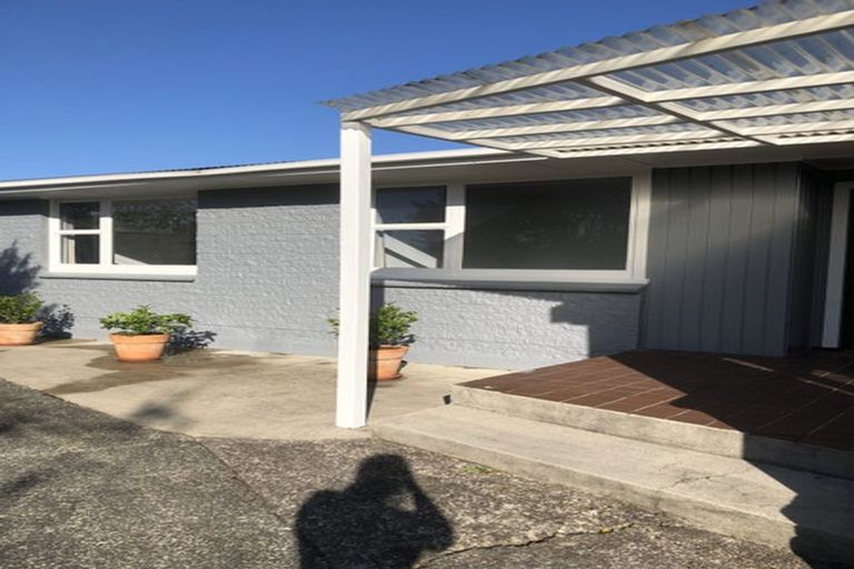 Photo of property in 19 Kingsley Street, St Andrews, Hamilton, 3200