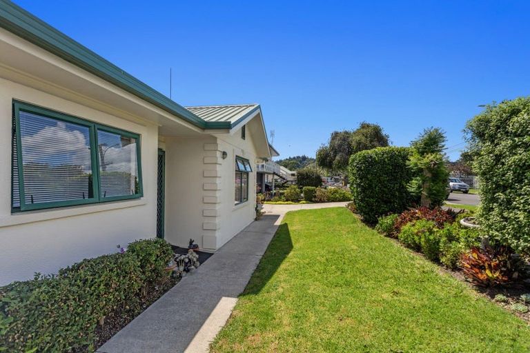 Photo of property in 14a Victoria Avenue, Whakatane, 3120