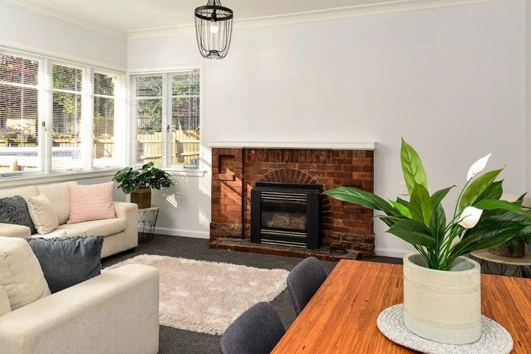 Photo of property in 245a Peachgrove Road, Fairfield, Hamilton, 3214