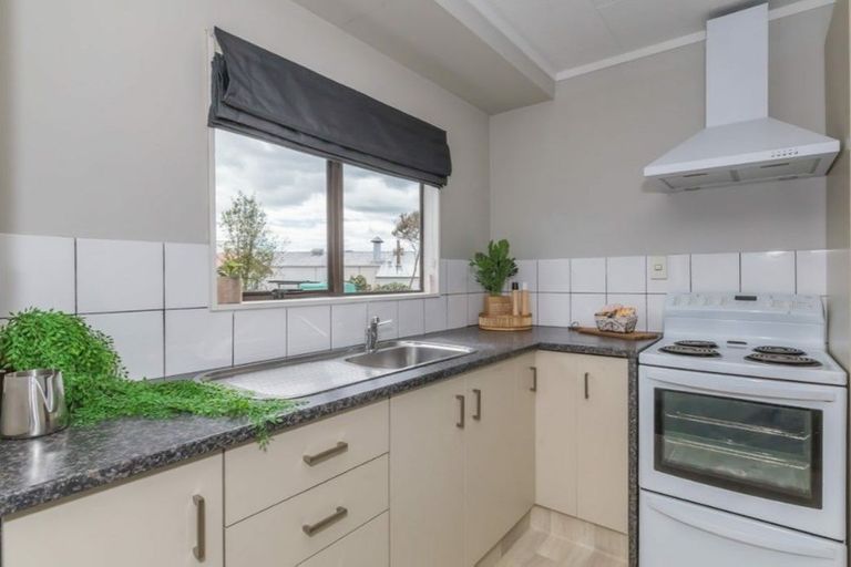 Photo of property in 96a Mako Mako Road, Levin, 5510