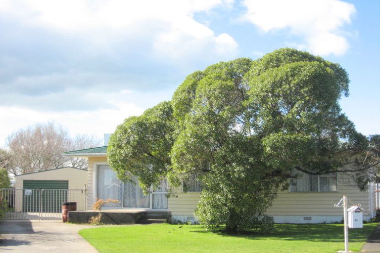 Photo of property in 15 Ross Street, Levin, 5510