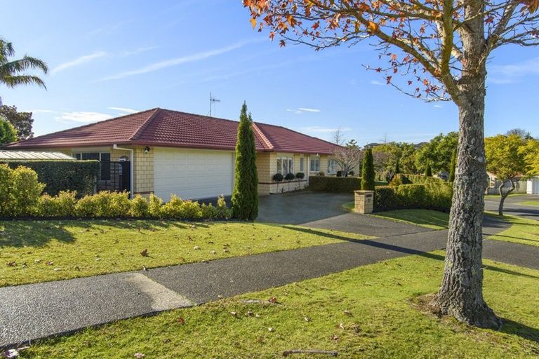 Photo of property in 77 Westmorland Rise, Bethlehem, Tauranga, 3110