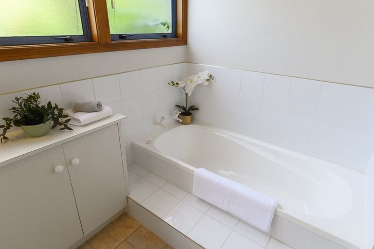 Photo of property in 45 Harvey Street, Tauranga South, Tauranga, 3112