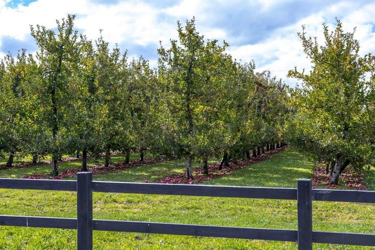 Photo of property in 9 James Kidd Place, Greytown, 5712