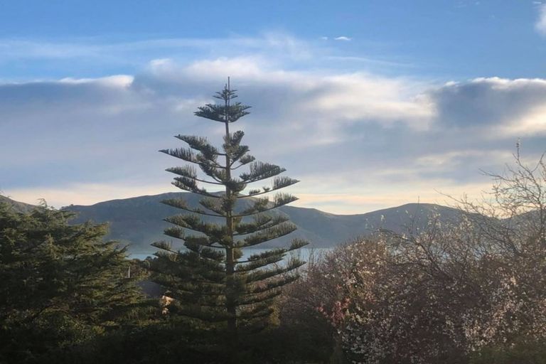 Photo of property in 4 Tau Crescent, Diamond Harbour, 8972