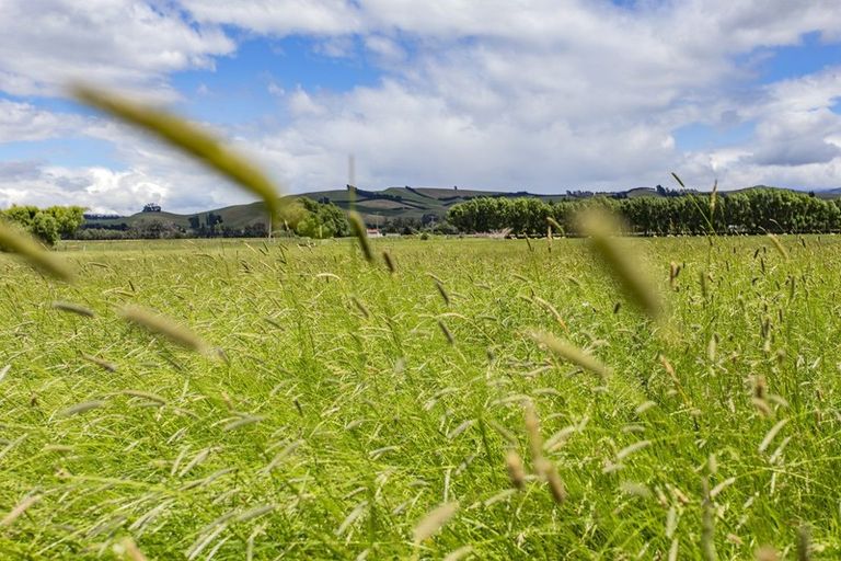 Photo of property in 193 Bentleys Road, Hawarden, 7385
