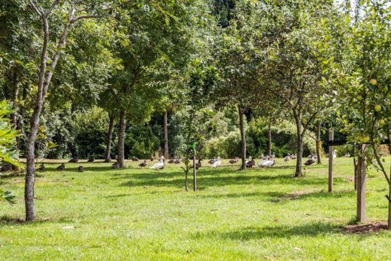 Photo of property in 85 Mason Road, Seaward Bush, Invercargill, 9871