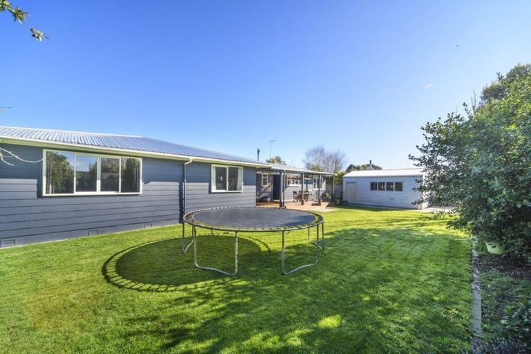 Photo of property in 21 Mokau Place, Terrace End, Palmerston North, 4410