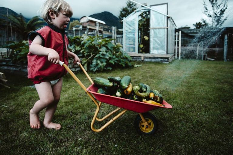 Photo of property in 17 Pekanga Drive, Fox Glacier, 7886